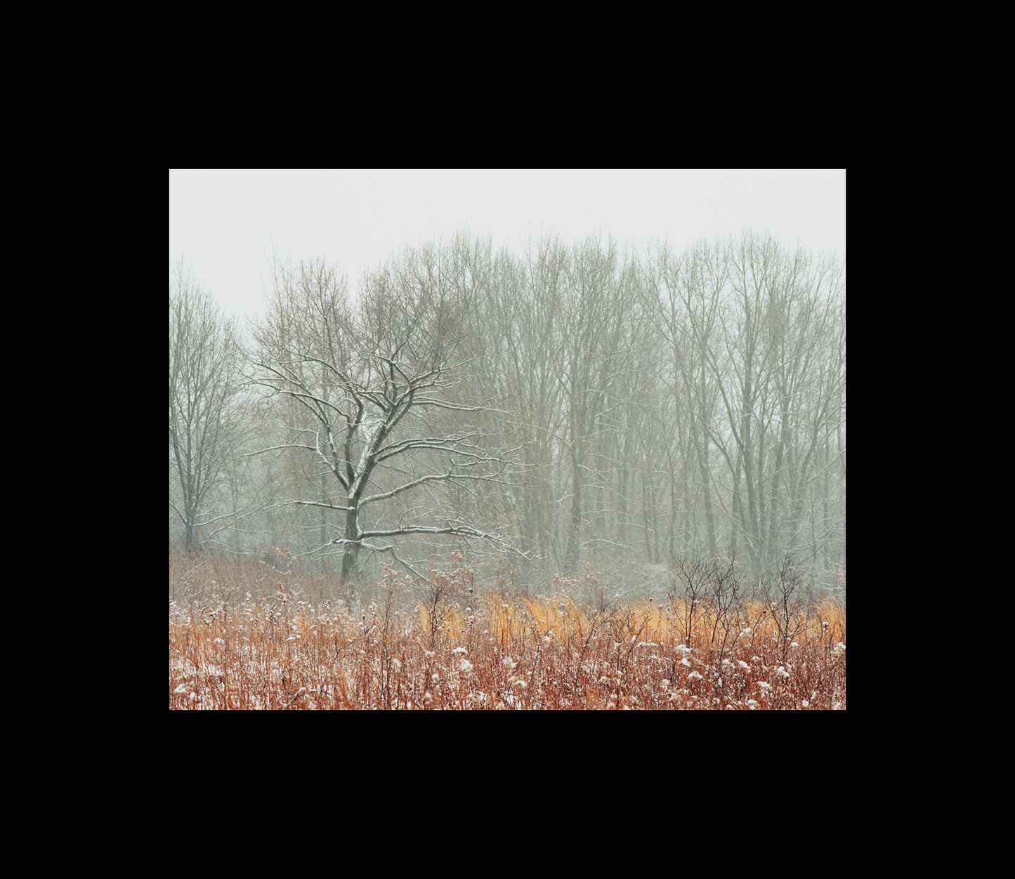 Color Photography by Peter Tkacz