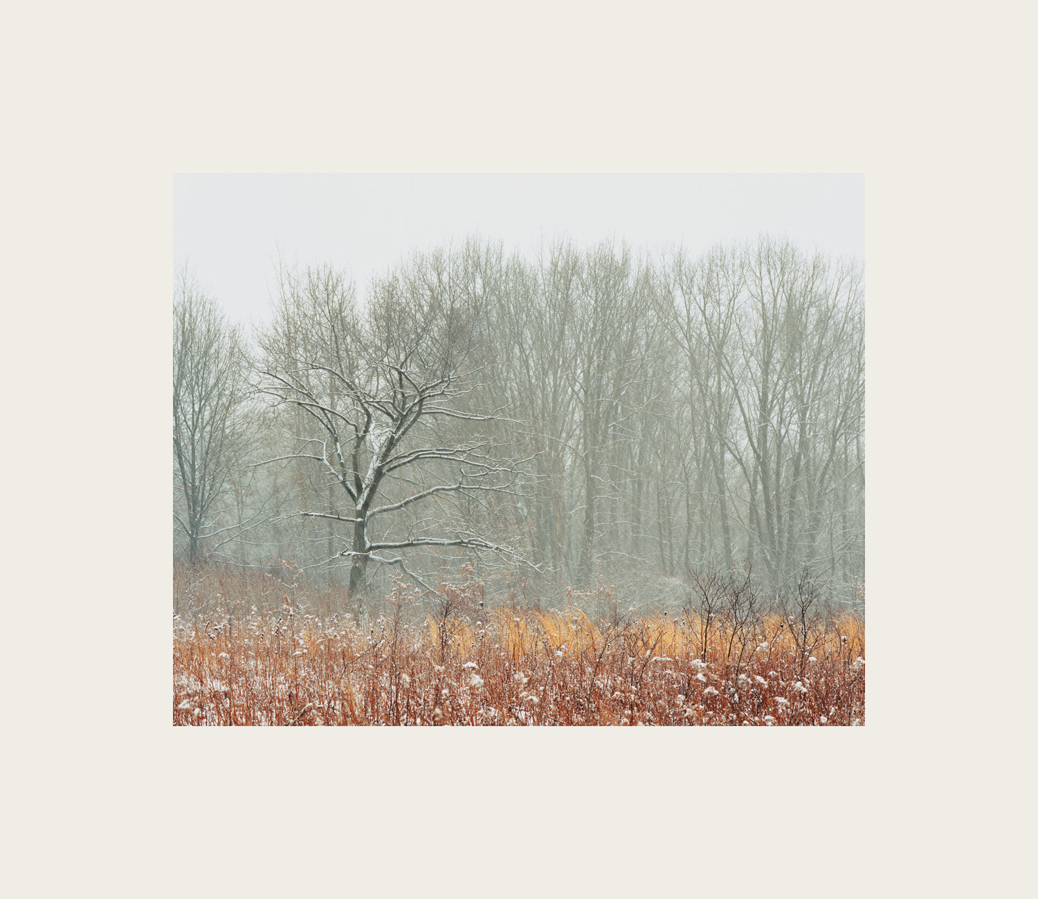 Color Photography by Peter Tkacz