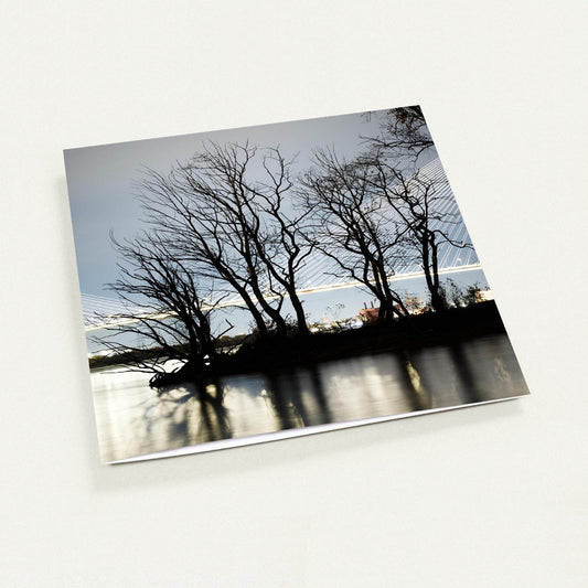 Atmospheric Noir Tree Silhouette greeting card by Peter Tkacz