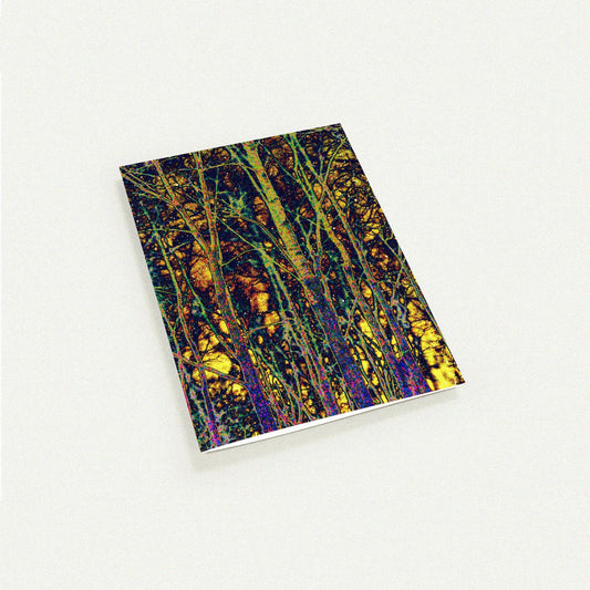 Enchanted Woods greeting card by Peter Tkacz