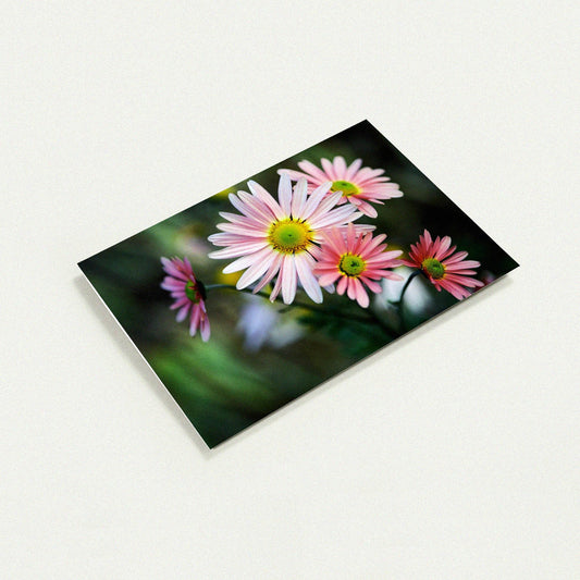 Nature’s Own Arrangement greeting card by Peter Tkacz