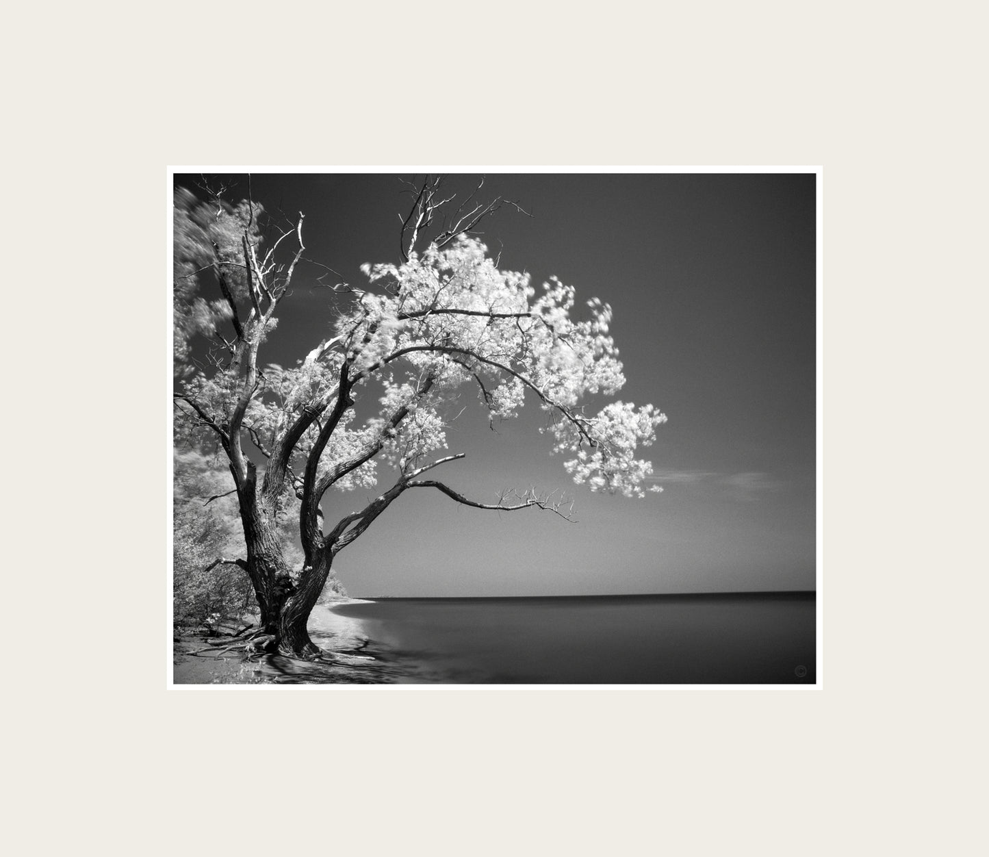 B&W Photography by Peter Tkacz