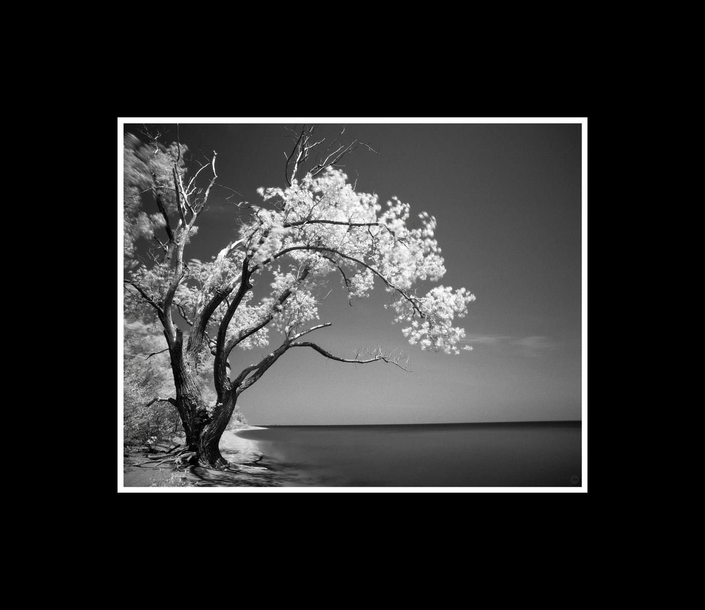 B&W Photography by Peter Tkacz