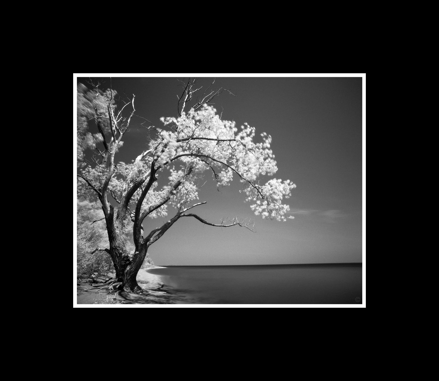 B&W Photography by Peter Tkacz