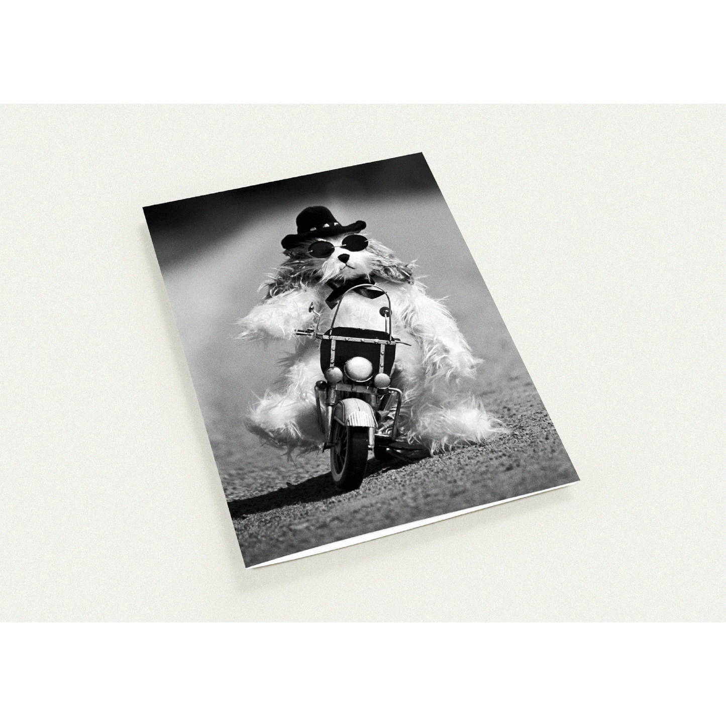 Biker Dog Greeting Card by Ulana Blacklock