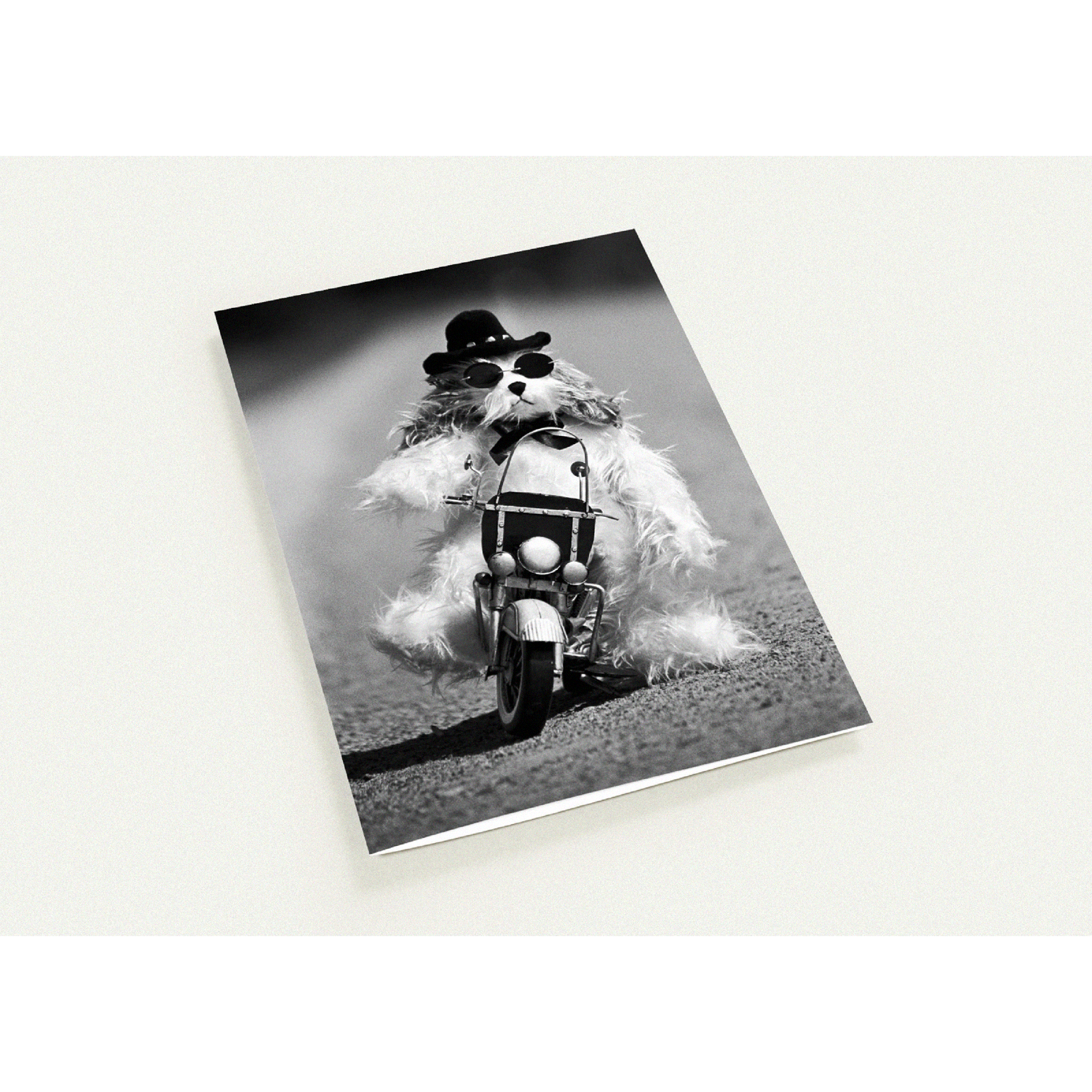 Biker Dog Greeting Card by Ulana Blacklock
